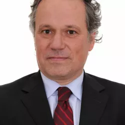 Profesor Luis Miguel Palacios Albarsanz