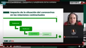 La Doctora en Derecho, Rut González, durante la ponencia por videoconferencia. La Doctora en Derecho, Rut González, durante la ponencia por videoconferencia.